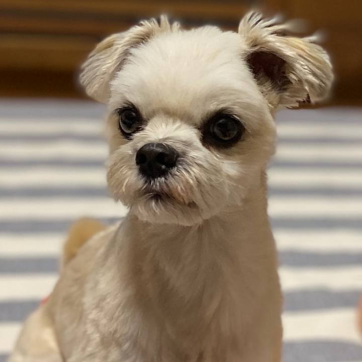 1a06b08f cc0b 4cd4 b51f aa3ed8d8a0f0 1571393567557