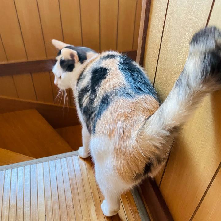 1a06b493 217c 4e7a 8145 4eb1fd4a510a 1638753386891