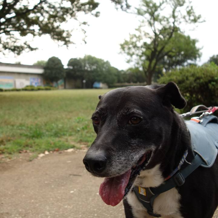 1a06d507 1bb8 44b9 bcc3 d2a6a9d89dba 1729123797045