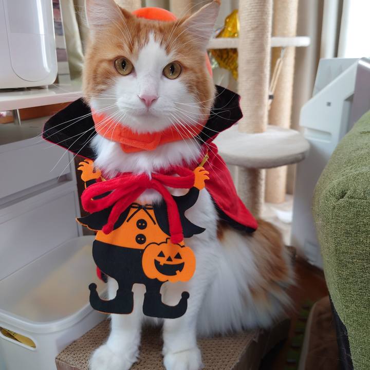 1a07042d 791c 4222 88a8 0b6b81be8c9c 1604108596075