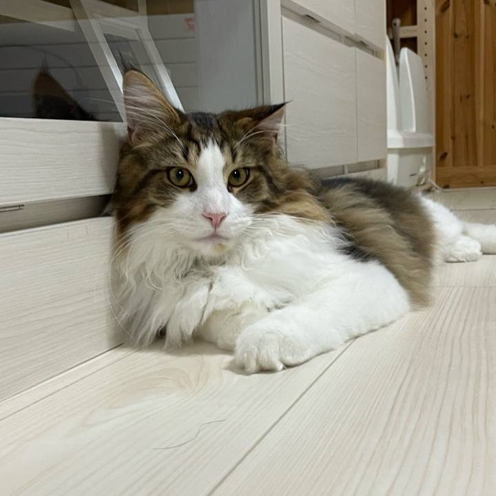 1a072600 7a47 4cc0 8804 a185601ade60 1642587814684