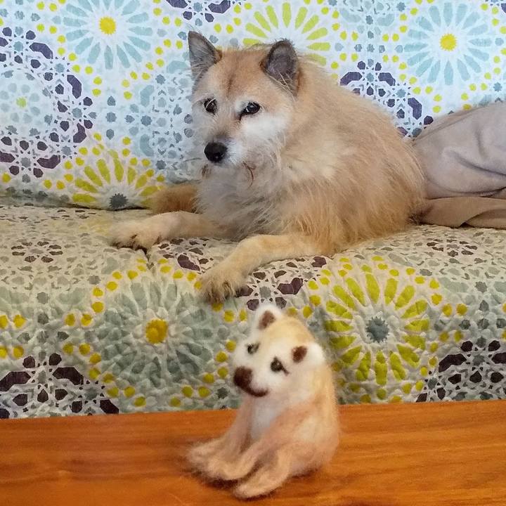 1a076008 b468 402d 9d8a 7088fc7cdc65 1547187956090