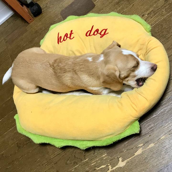 1a07641e 3226 4816 9012 58592fff7d02 1535121769341