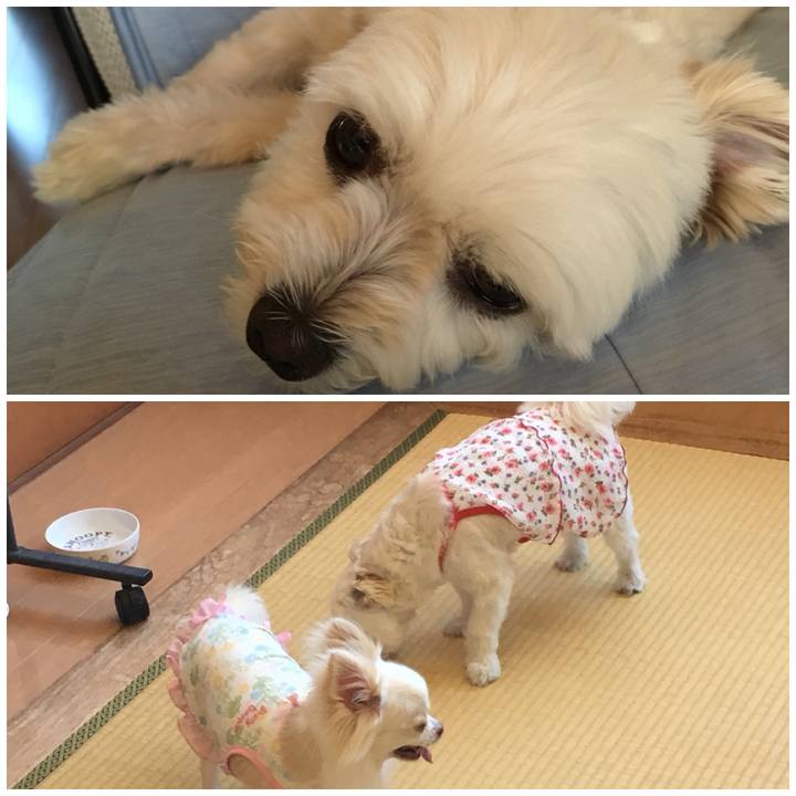 1a07700a 46b7 4d50 a37f 350f32f19fd9 1532328946227