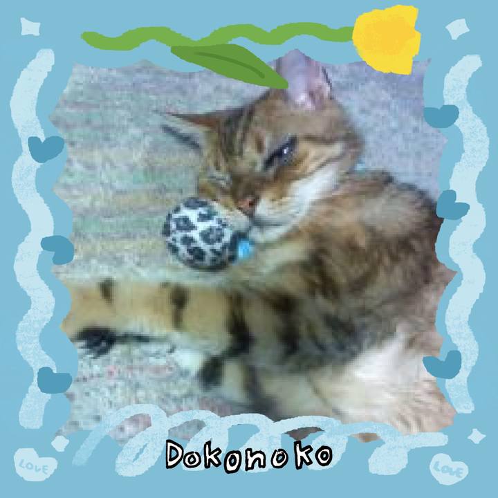 1a077043 6786 40bc a7c5 aeb0891ea53f 1772074724299