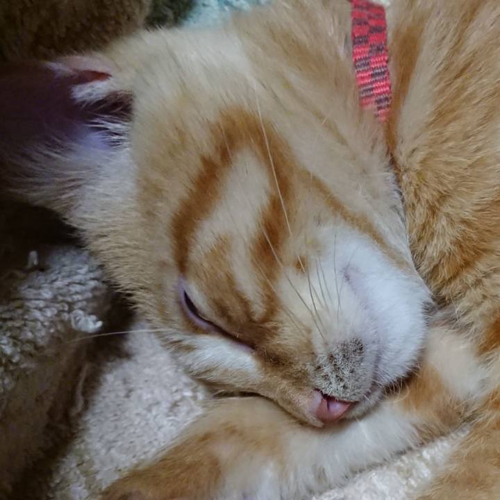 1a07798e fae5 45d1 be2f 8f26e63a758c 1633093804825