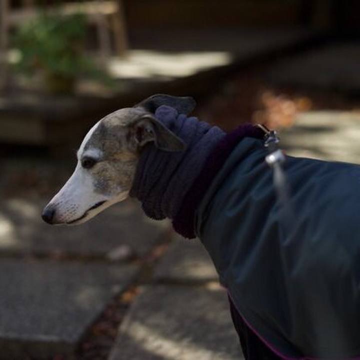 1a078b21 abbf 48c5 8225 d7ddb7659a28 1512034401183