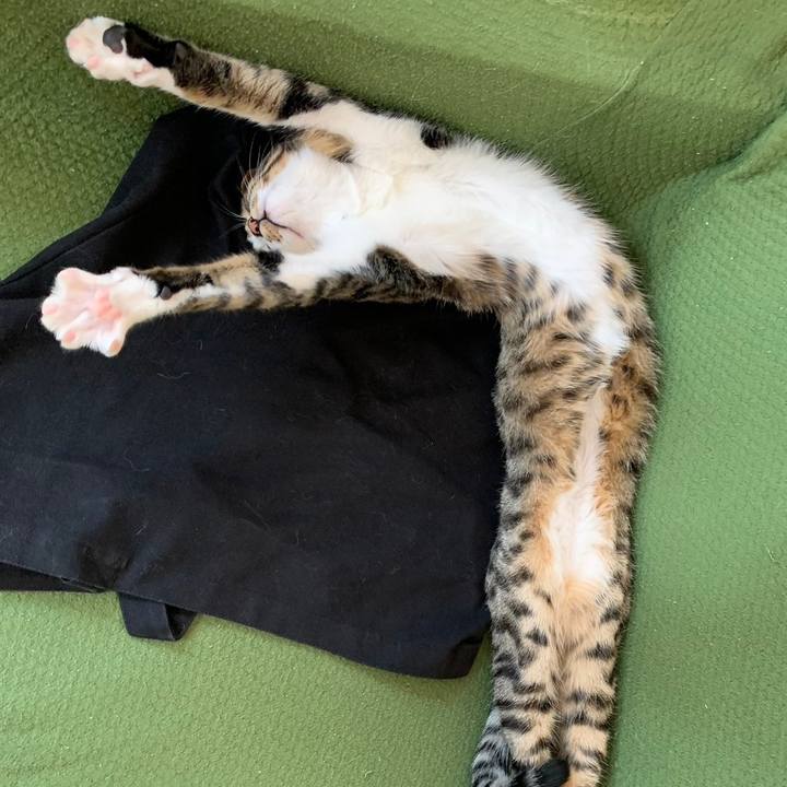 1a07a7f6 70d2 450f 8387 db21145b3e00 1700784967682