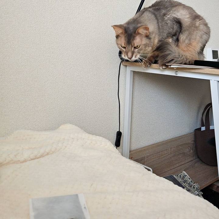 1a07d5ee 47a6 488f 8cb4 cd1c0b5629a3 1738200048919