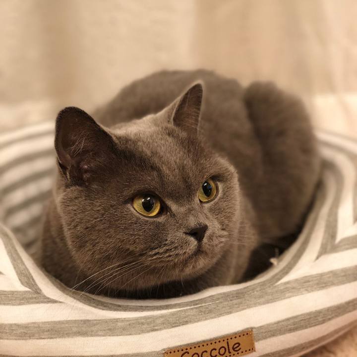 1a0809ff a5b9 4084 8511 5ab092e6027f 1512742318420