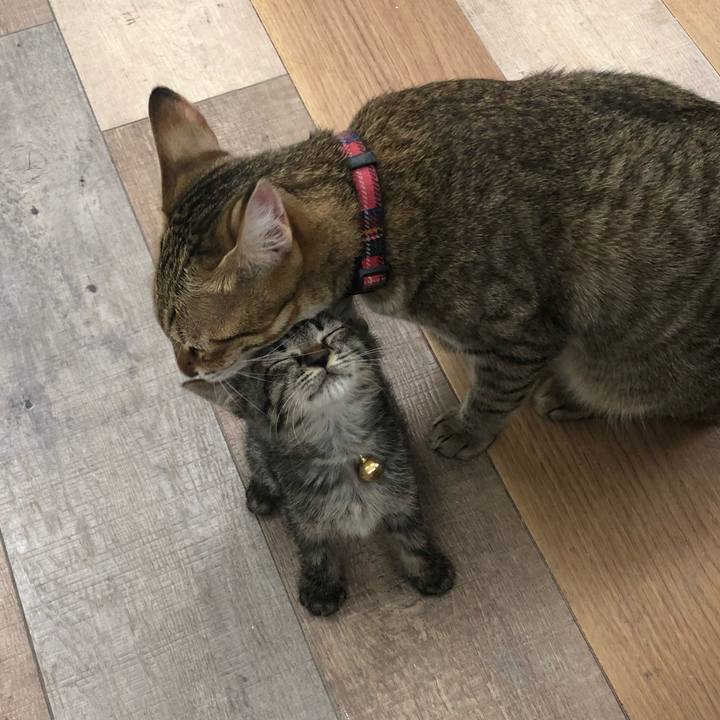 1a083f81 b8fc 4935 a067 33566eed786c 1601873930009