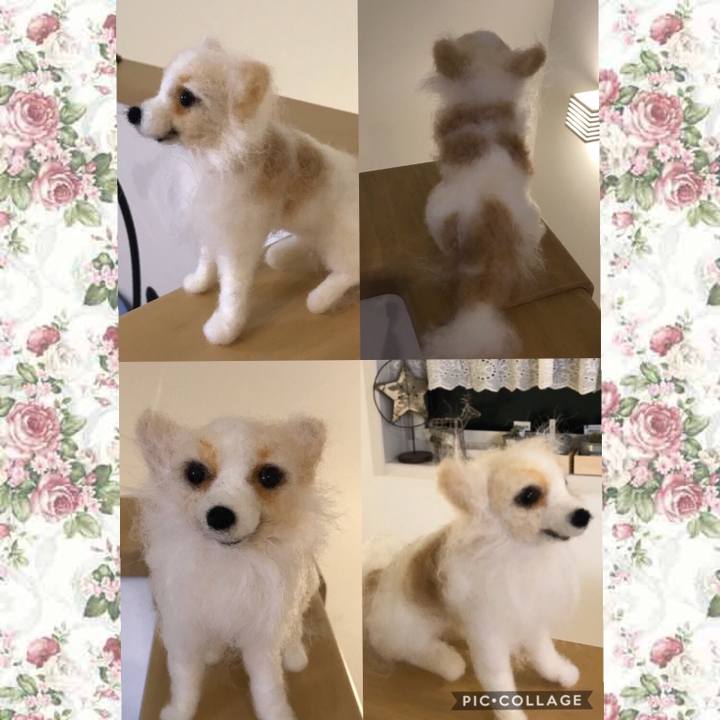 1a08564f 3366 4134 bfa0 09405e2da6a0 1528211068531