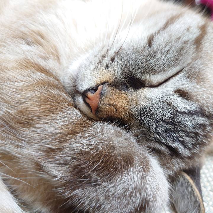 1a087762 63d5 479f a53e 6961d26b4d46 1629469836786