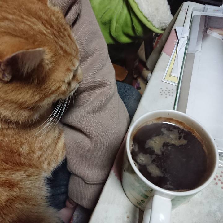 1a08c078 3244 4393 945b 31514dfeb92c 1583437605560