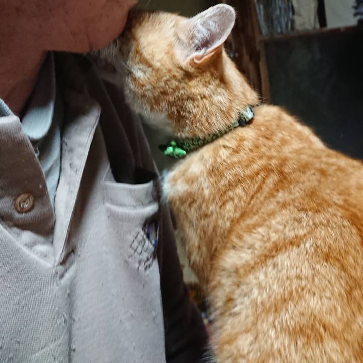 1a08d085 adc5 4246 8d4d d213206e8fe3 1585770673748