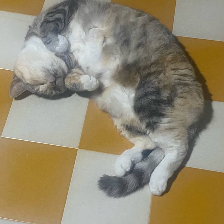 1a090f29 db03 47a3 8261 49143f89e58b 1751568003298