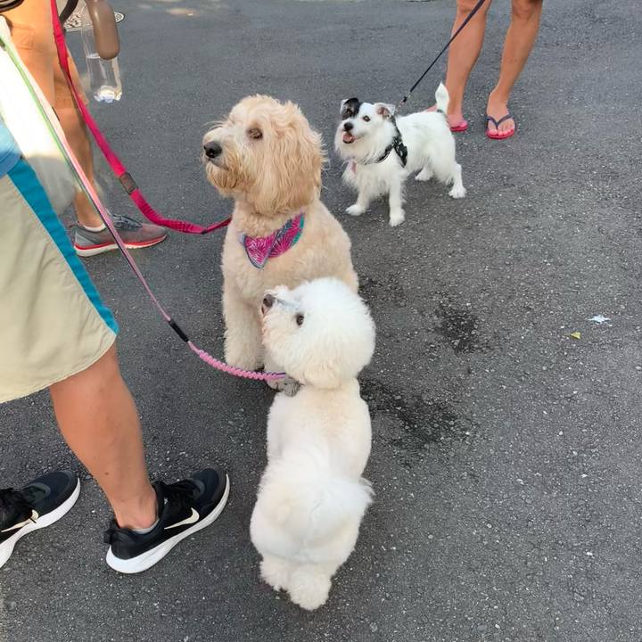 1a0933f3 266b 42c6 a8d5 648d6ed65ecc 1692138712487