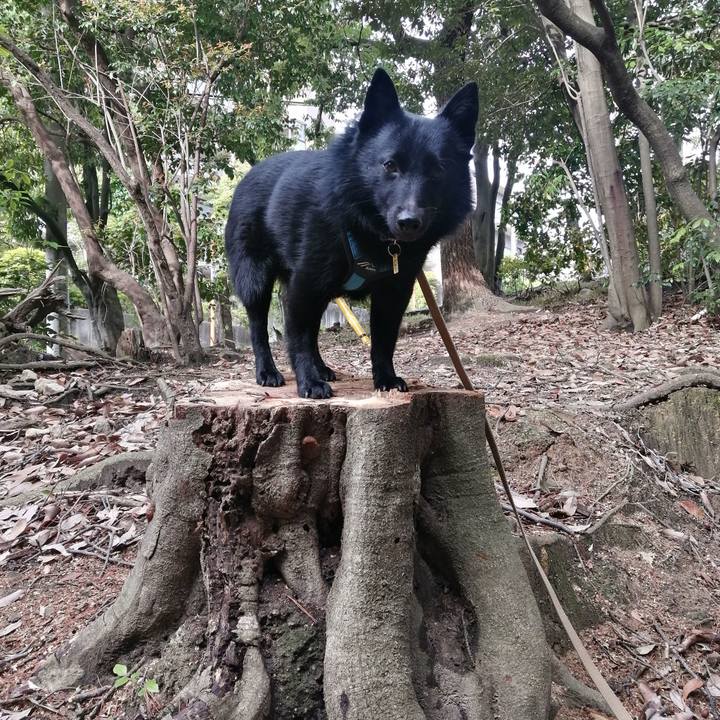 1a0947e9 d83d 43b4 bc9d 723c2dbb9a28 1652567006138