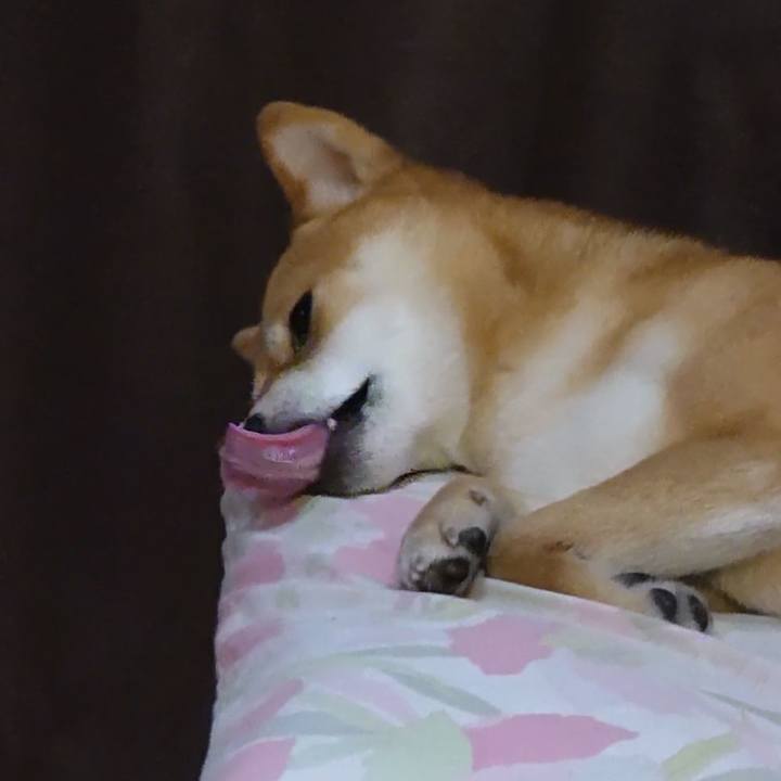 1a098d7d c235 4149 aec9 81ade8bcb994 1654256079524