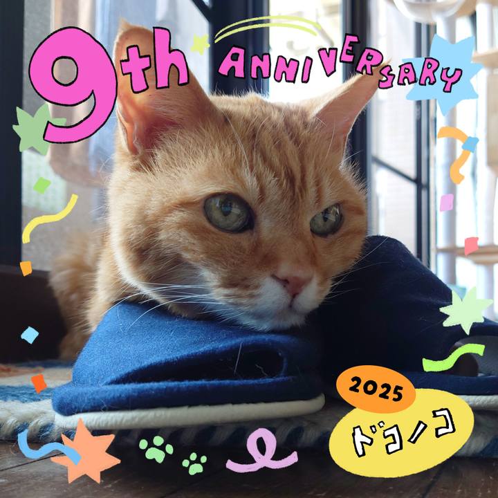 1a09bc81 65d2 4d71 9c96 75d2d720f78c 1749172424300