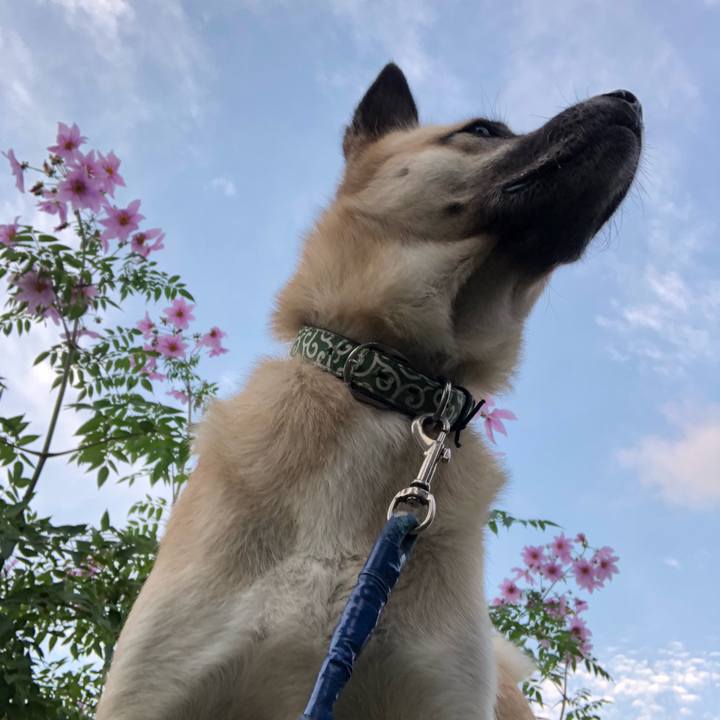 1a09f372 217e 4bf9 bb2d 686fc1df2999 1605872346917