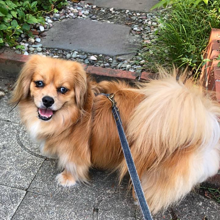 1a09f978 f187 4837 bad0 de7fe7f3cc37 1565910814165