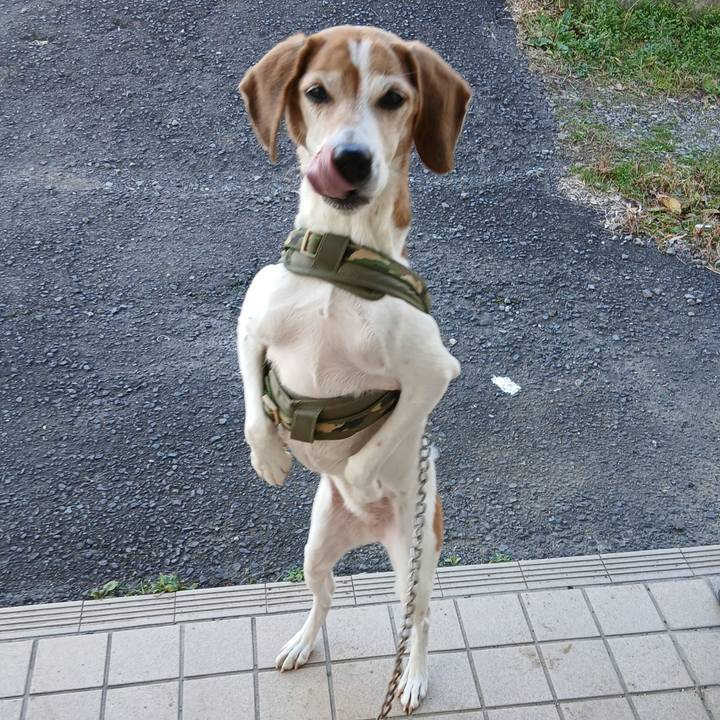 1a09fa09 058d 44f8 ae63 24dfb1411ace 1766729000456