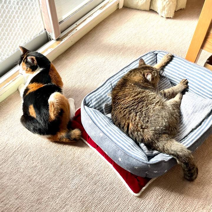 1a0a1ea9 3944 4ffe 98a2 ee59eaf45ab4 1610626517171