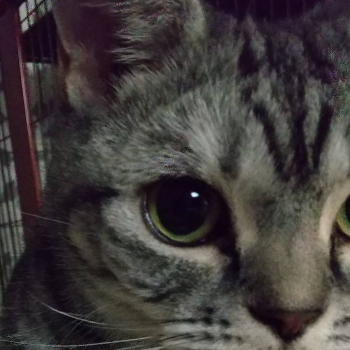 1a0a79a4 9ba3 42c7 9fd7 76ef366cd2de 1670240827130