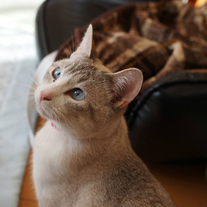 1a0a9561 940f 4dbf 8605 077c658cdadb 1516592023845