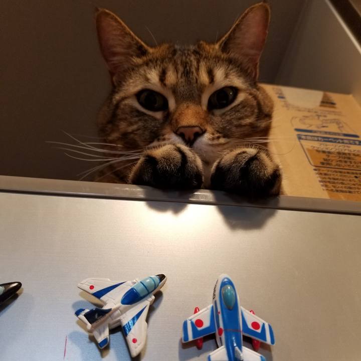 1a0ab2f3 72aa 4e7d bee1 a0b86f008942 1612388354655