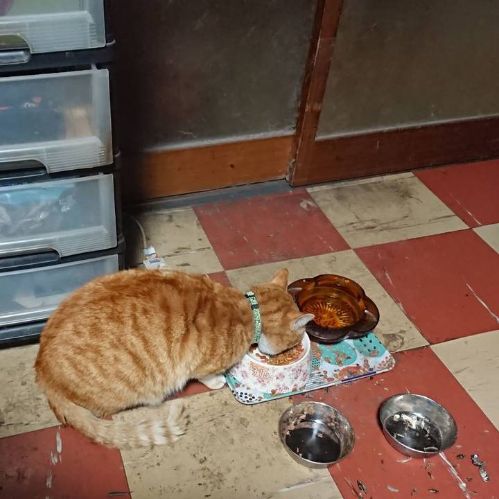 1a0acf7e 4c82 4bb2 afca 4f4129e693c0 1584562232713