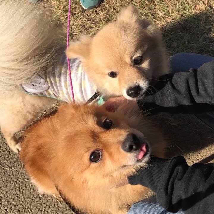 1a0b069e 3533 4a4a 98e0 c0be37e80fed 1582016226694