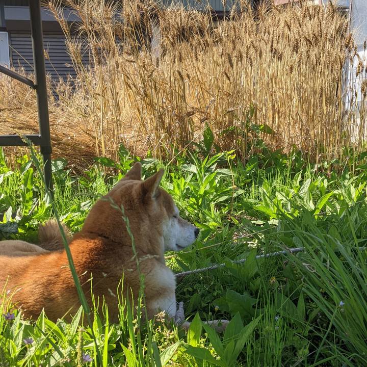 1a0b1cb4 e525 4abe 87c6 5dbb0a804a02 1685047650177