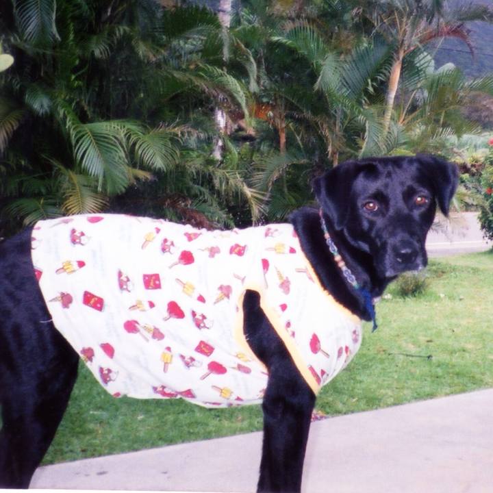 1a0b29cd 83fe 40b3 979f 9fd6e0a7445f 1519454811873