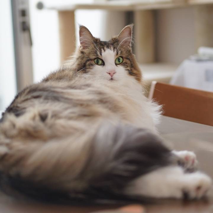 1a0bad47 7b71 4e58 aa9d 11f3de61c6e8 1656926096202