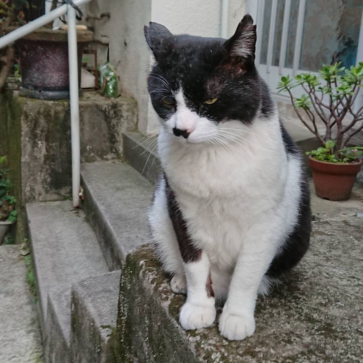 1a0bb35a 8a13 4ce4 8a02 398ab3306042 1527601390877