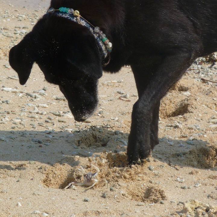 1a0bc370 76db 4c0e b6e1 d79e220d443b 1528873257028