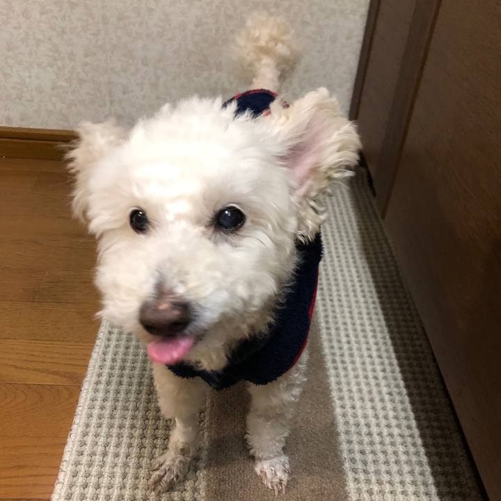 1a0bd052 42dc 4f64 b51e 137ccba8df16 1549527349606