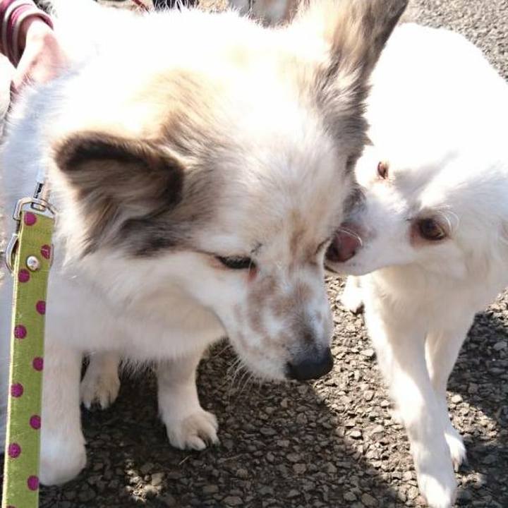 1a0bd0be 29b1 4ddb bba9 23aa35218f4f 1520816578813