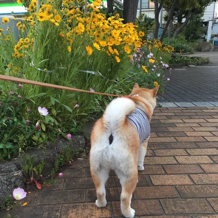 1a0c396d cc98 4e7a 9f68 3cb59e78b56a 1558520996712