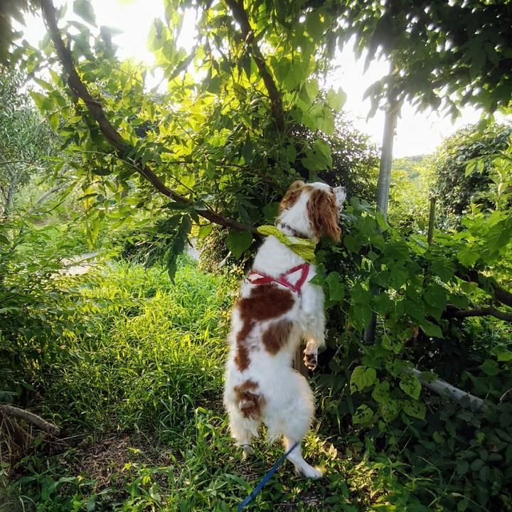 1a0c4113 d035 4667 90d4 8bd5b6d0aca0 1564831748334