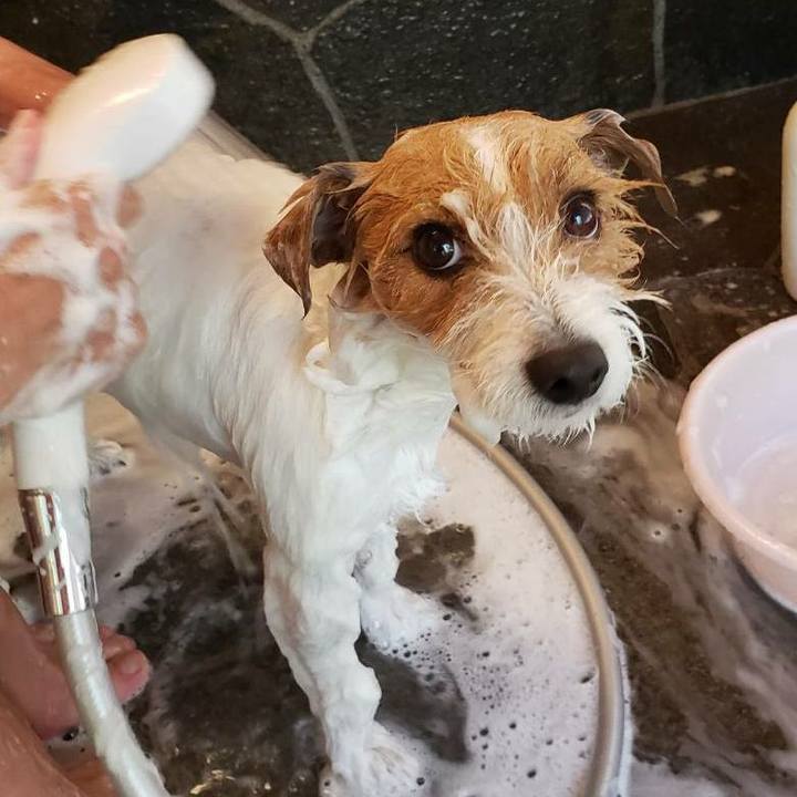 1a0c440c 357c 437c 9aca 557ceca29bd7 1588641022508