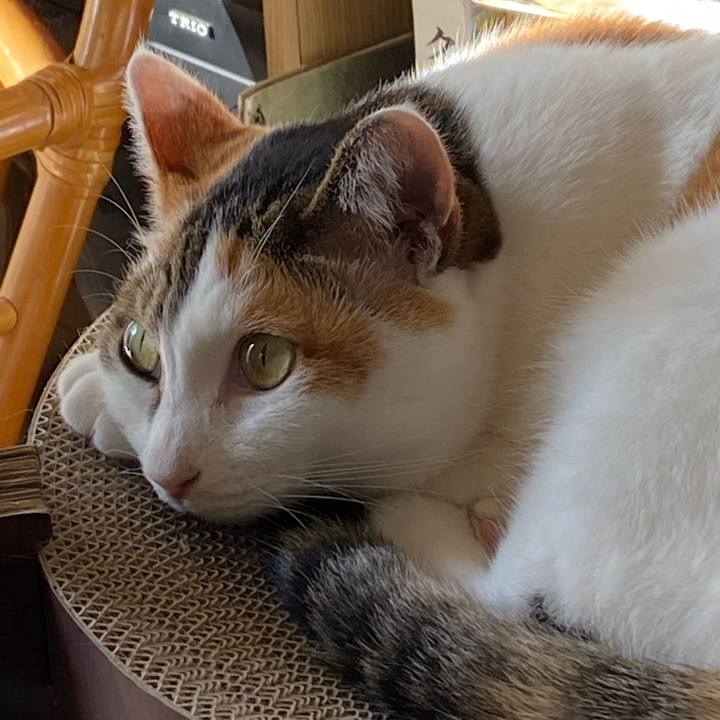 1a0c4dab 7034 4a78 8f1b 3ee6c7691f48 1768523086631