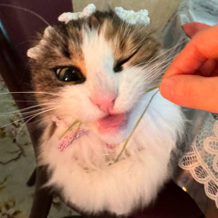 1a0c5cbd cd1a 4112 90a9 afafa5180eed 1774342306104