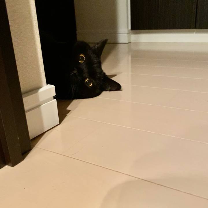 1a0c64bf 6c95 4d5c 9cd9 ffdec2bda582 1666963709080