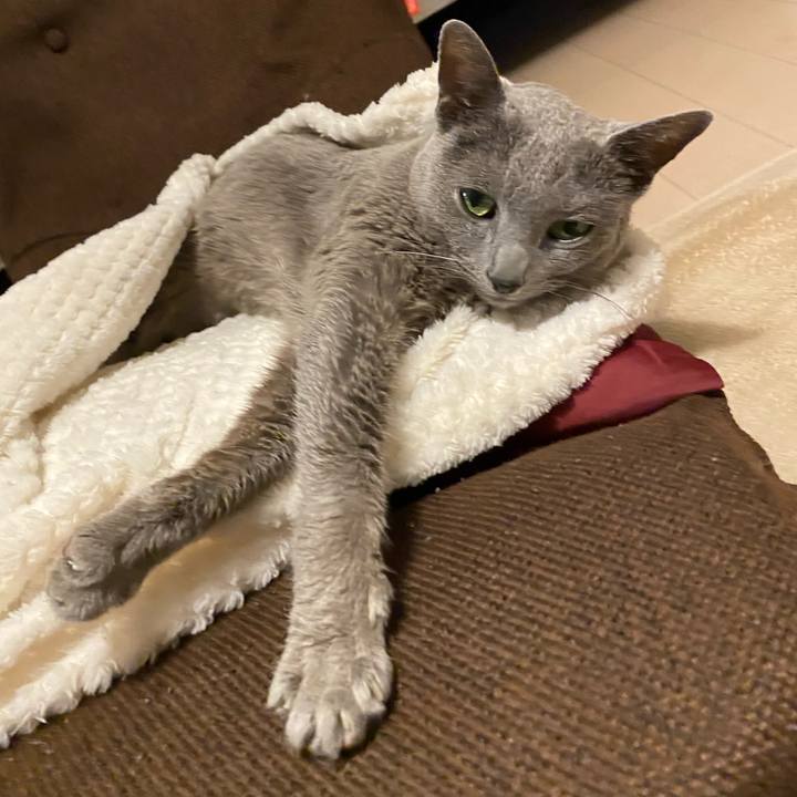 1a0c6d33 fe84 4426 bb51 3f456c703d8d 1625316532955