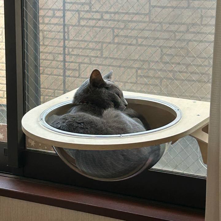 1a0c8e24 ebf9 4b68 8342 69d4ad7ca383 1721444603698