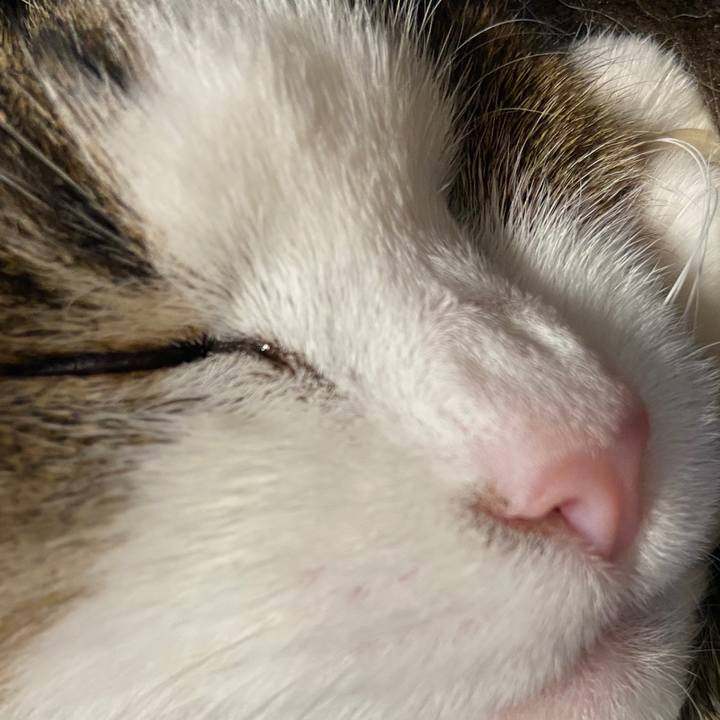 1a0cbae5 d7ae 46e2 b488 43cf3b6801a1 1586348310500