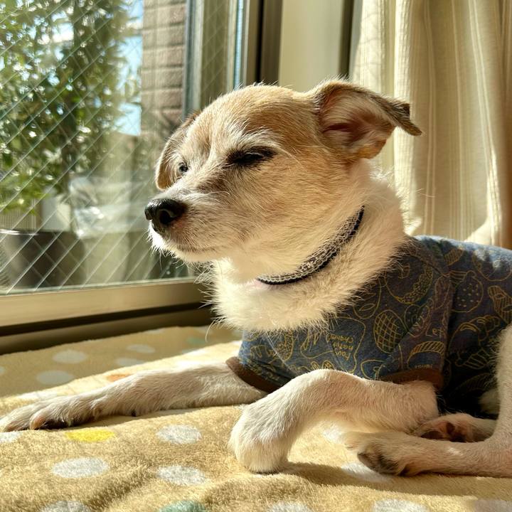 1a0cd75b 34c0 46a6 9027 4a1567d7e9c8 1698369412617